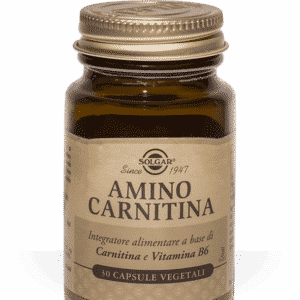 Amino Carnitina